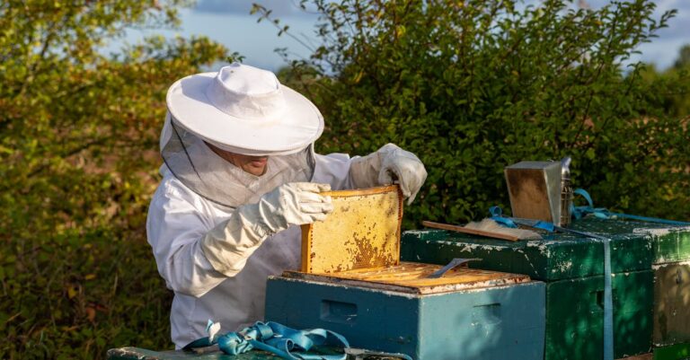 7 Best Practices for Honey Extraction and Storage That Preserve Flavor