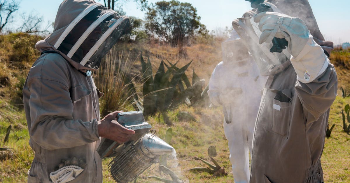 beekeepers in protective gear managing hives outdoors on a sunny day