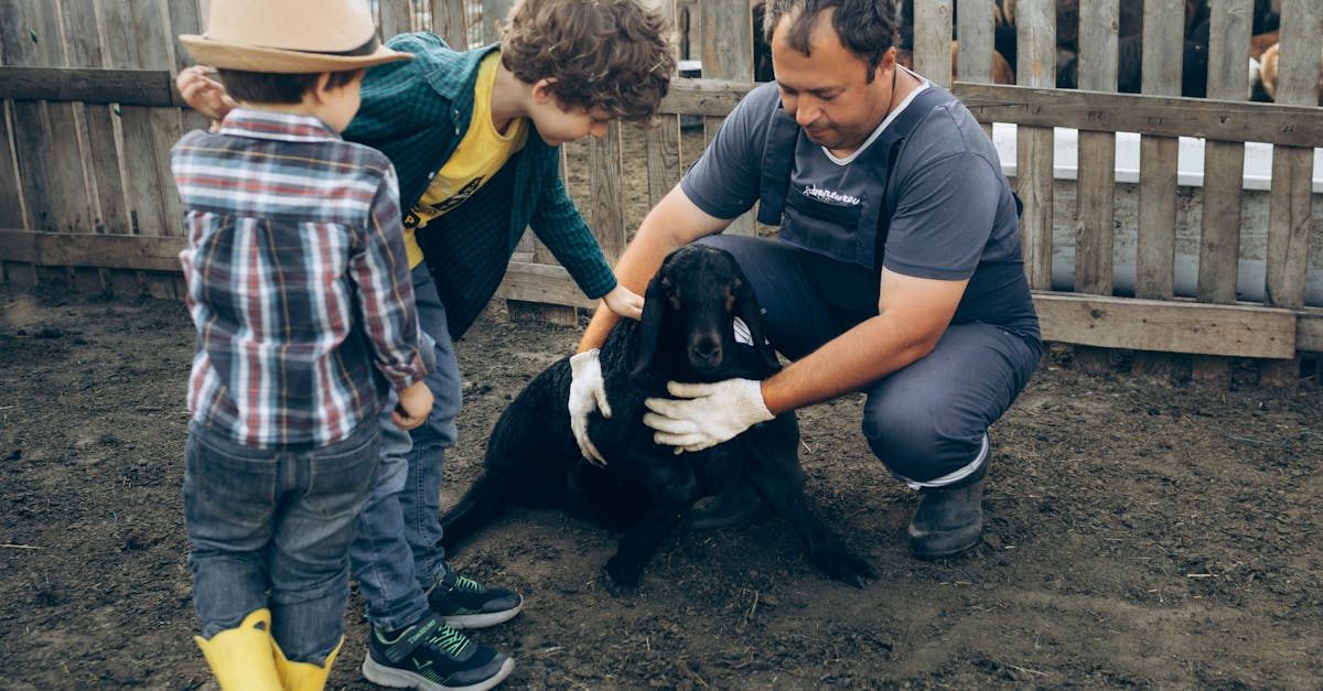 boys and a man with a black goat