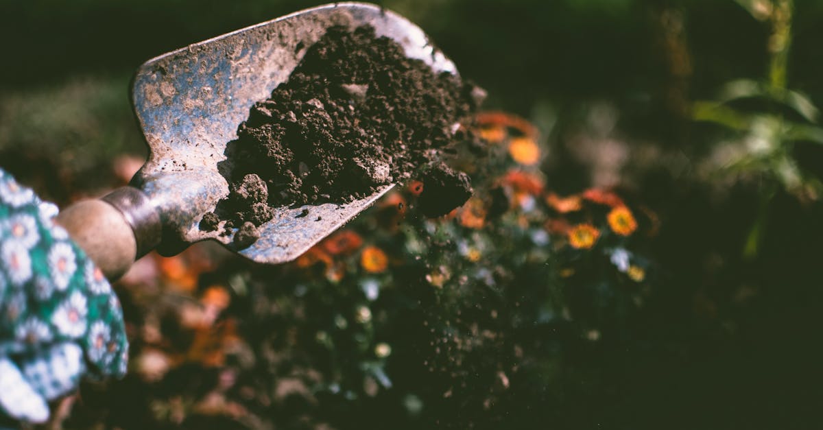 close up of a gardening shovel with soil surrounded by vibrant blooms in an outdoor garden setting 5