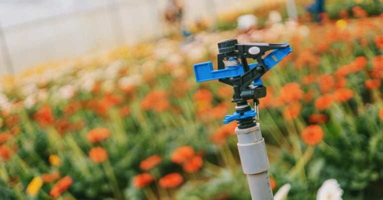 7 Seasonal Crop Rotation Strategies for Irrigation Management That Save Water