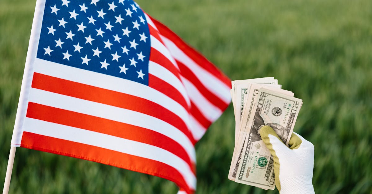 close up of an american flag and us dollars in an agricultural field
