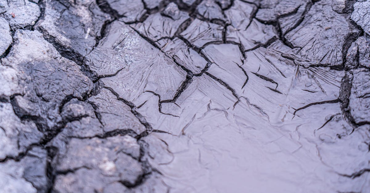 close up of cracked mud with pooled water showcasing drought and erosion effects 2