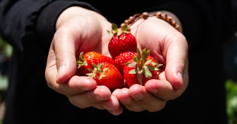 7 Ways Organic Gardening Differs From Conventional Methods That Nurture Soil