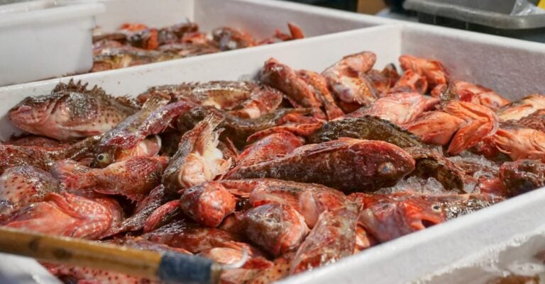 7 Food Preservation Techniques for Market Goods That Maximize Shelf Life
