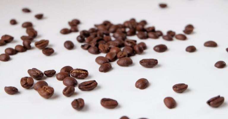 7 Heirloom Seed Varieties to Explore This Year That Preserve Heritage Flavors