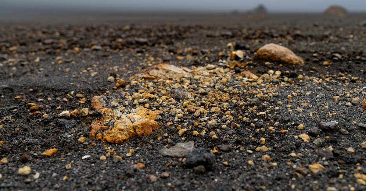 close up of volcanic soil and rocks in the foggy landscape of cartago costa rica