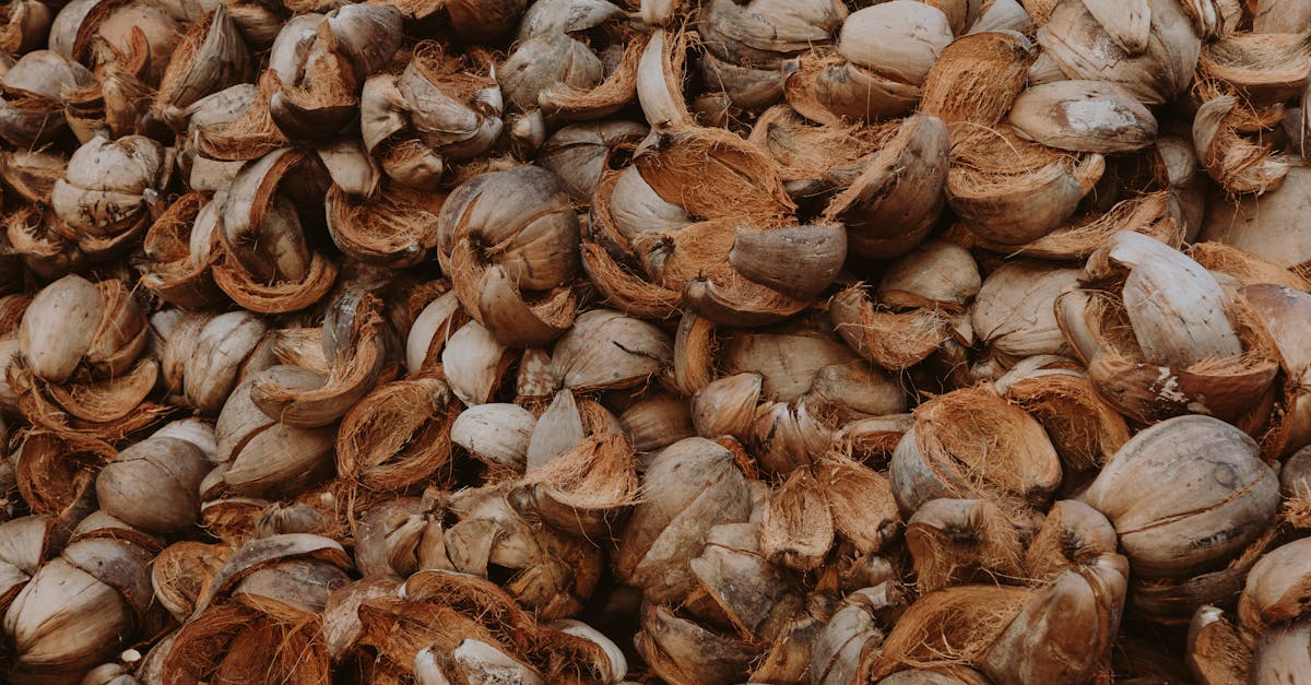 close up view of a large pile of dried coconut shells showcasing a natural