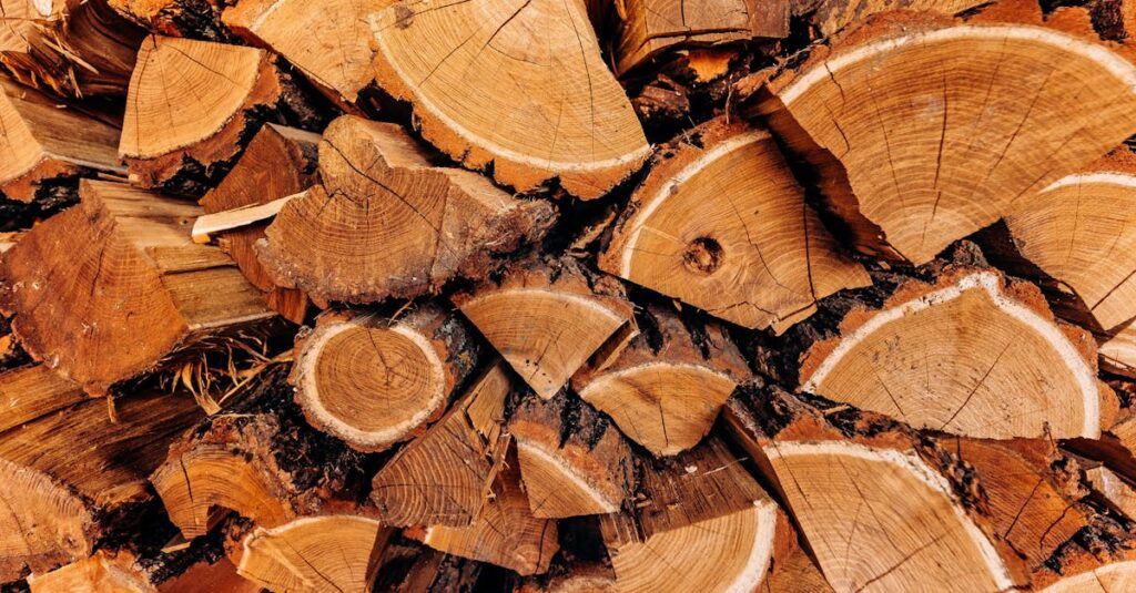 close up view of a stacked pile of freshly chopped firewood logs showing tree rings and bark