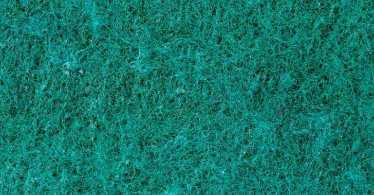 6 Key Differences: Organic vs Synthetic Fertilizers For Sustainable Gardens