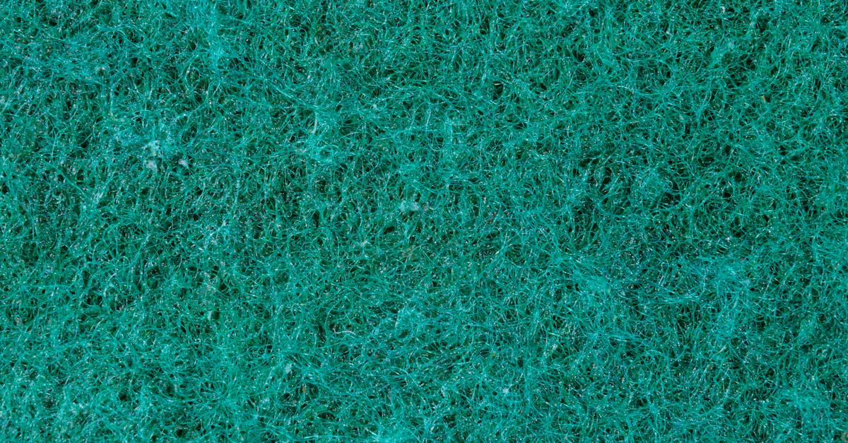 close up view of an emerald green textured surface ideal for background use