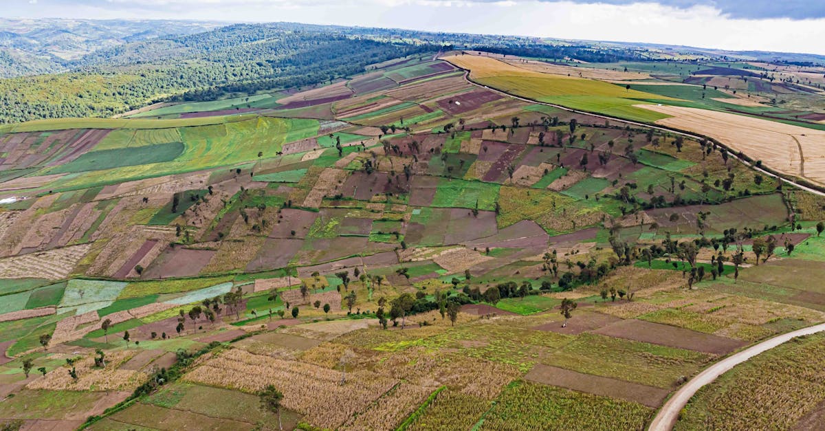colorful patchwork of agricultural fields in mau narok kenya showcasing diverse crop patterns