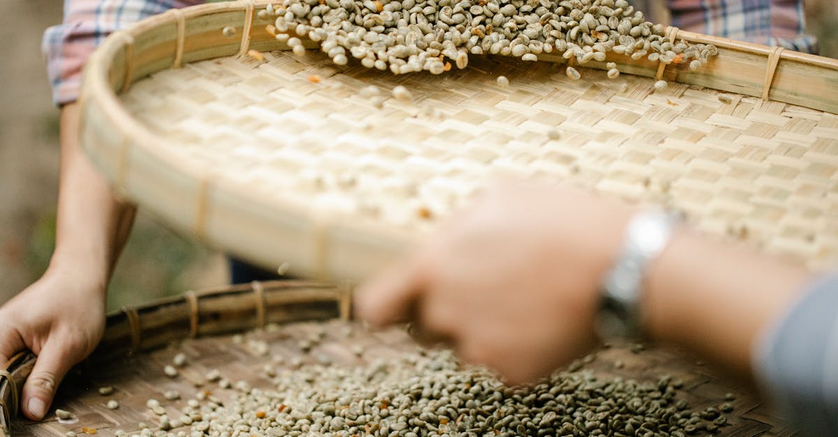 crop unrecognizable horticulturists with sieves separating unroasted coffee bean halves from chaff i