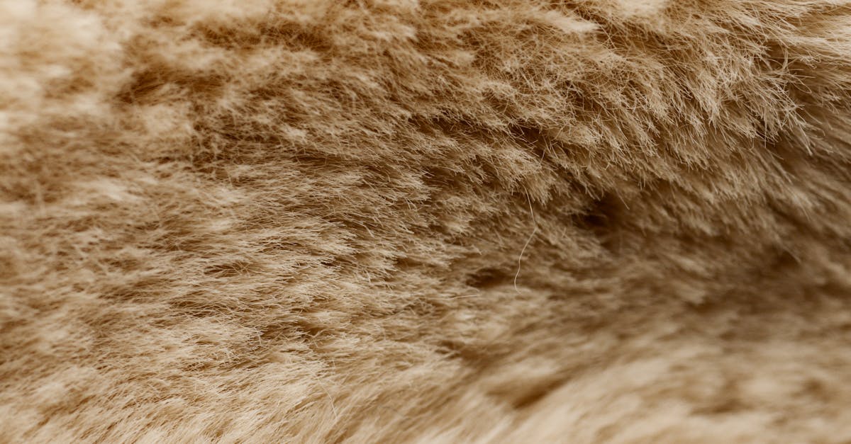 detailed close up of beige furry texture showcasing softness and warmth ideal for backgrounds