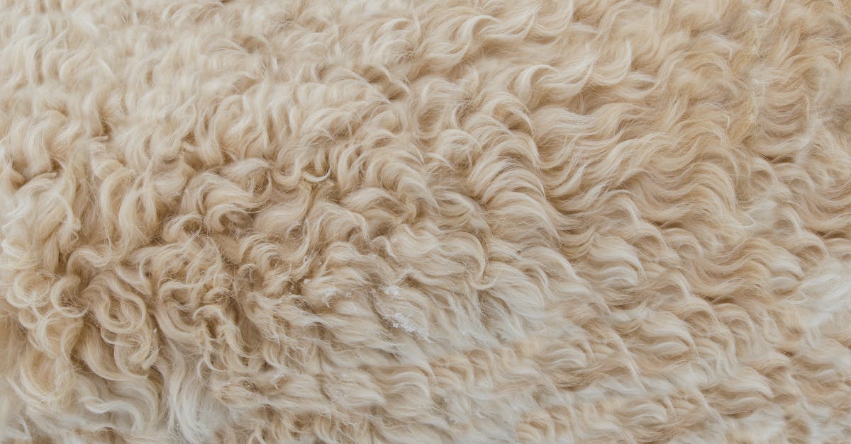 detailed close up of beige wool texture showcasing soft curly fibers perfect for backgrounds and d