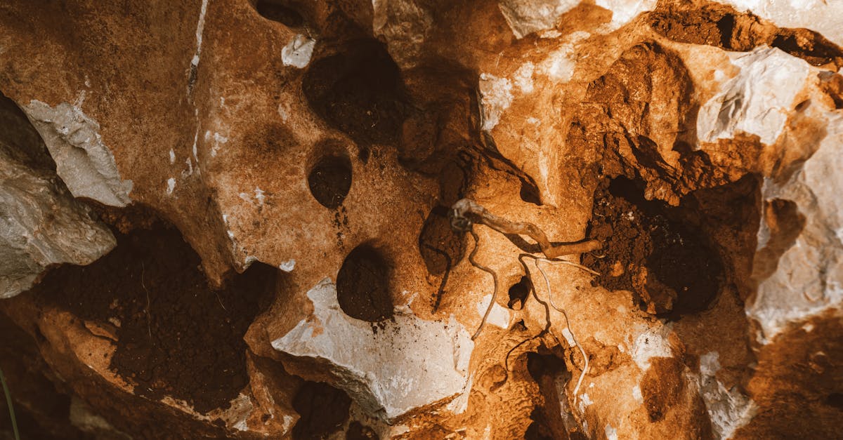 detailed view of natural erosion on limestone showcasing unique textures and colors