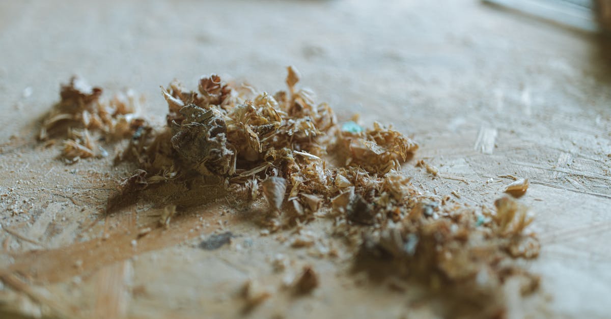 detailed view of wood shavings and sawdust scattered across a wooden surface
