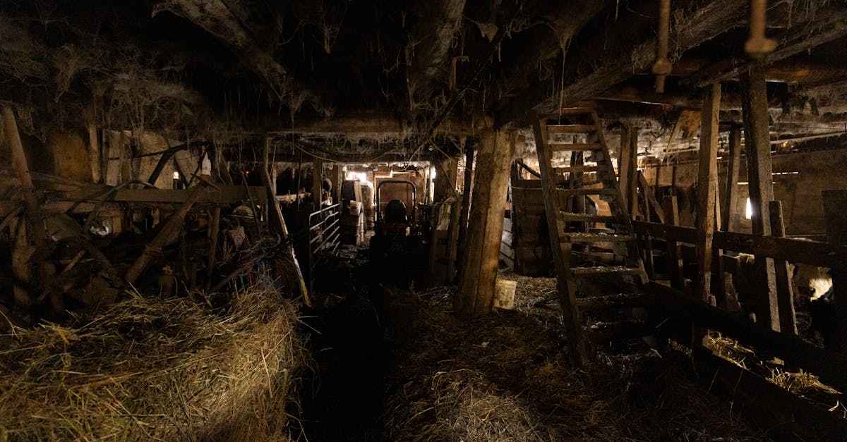 dimly lit rustic barn interior filled with hay and wooden structures captures vintage agricultural