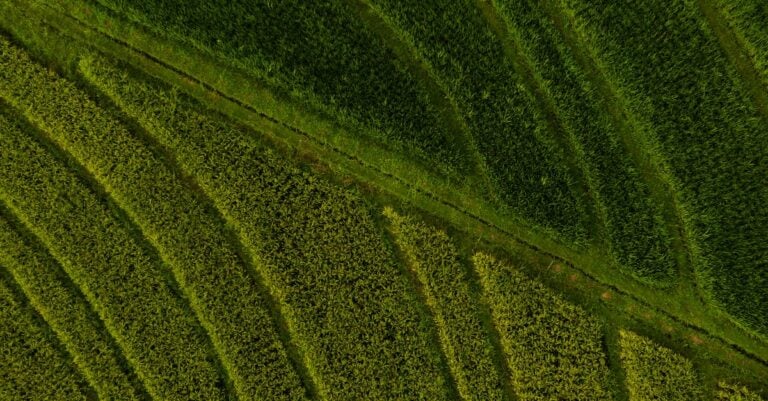 7 Seasonal Strategies For Drone Deployment in Agriculture That Boost Yields