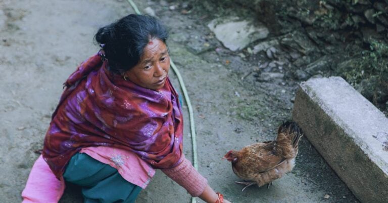 7 Unusual Heritage Chicken Breeds to Consider That Preserve Farming History