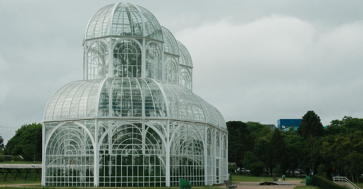 elegant glass conservatory amidst a green park showcasing modern architectural design