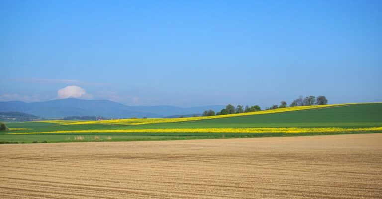 7 Ways to Adapt Schedules for Peak Farming Seasons That Prevent Burnout