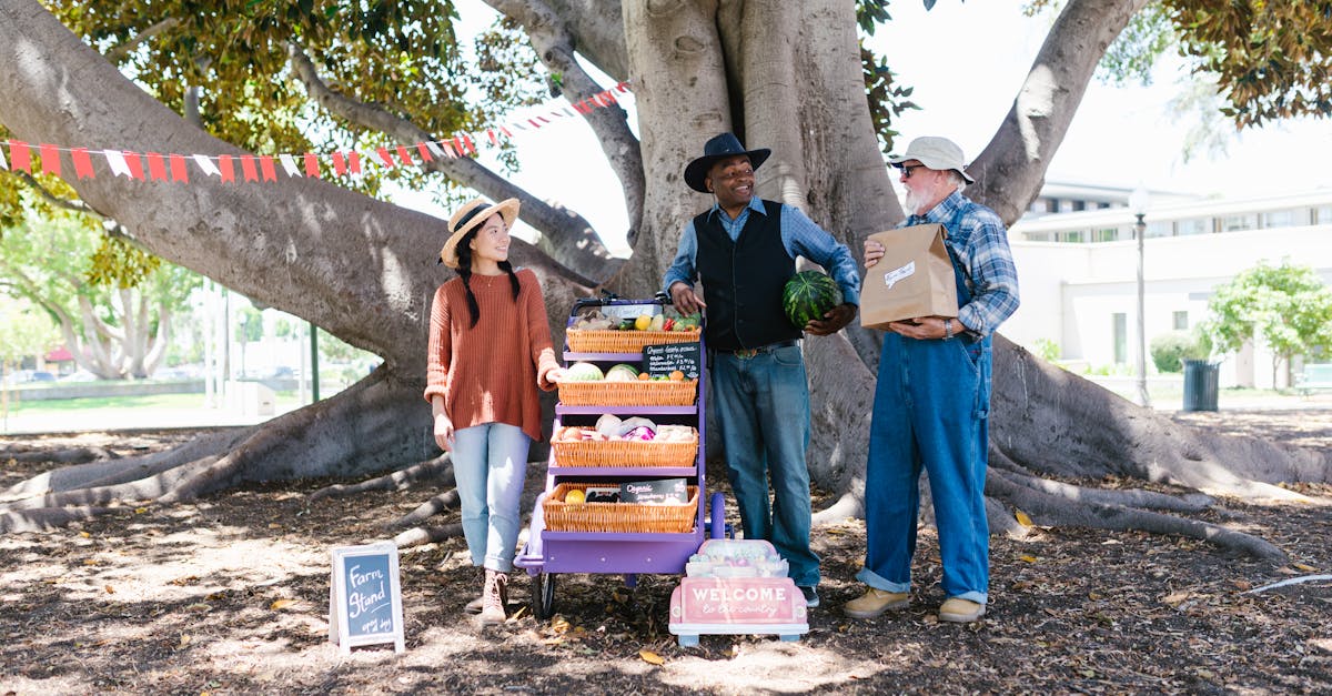 farmers showcasing organic produce at an outdoor market under a large tree