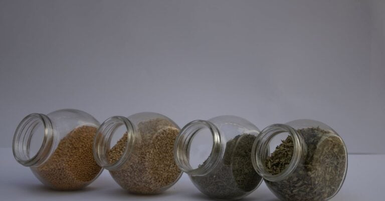 6 Best Bulk Seed Storage Options That Preserve Viability for Years