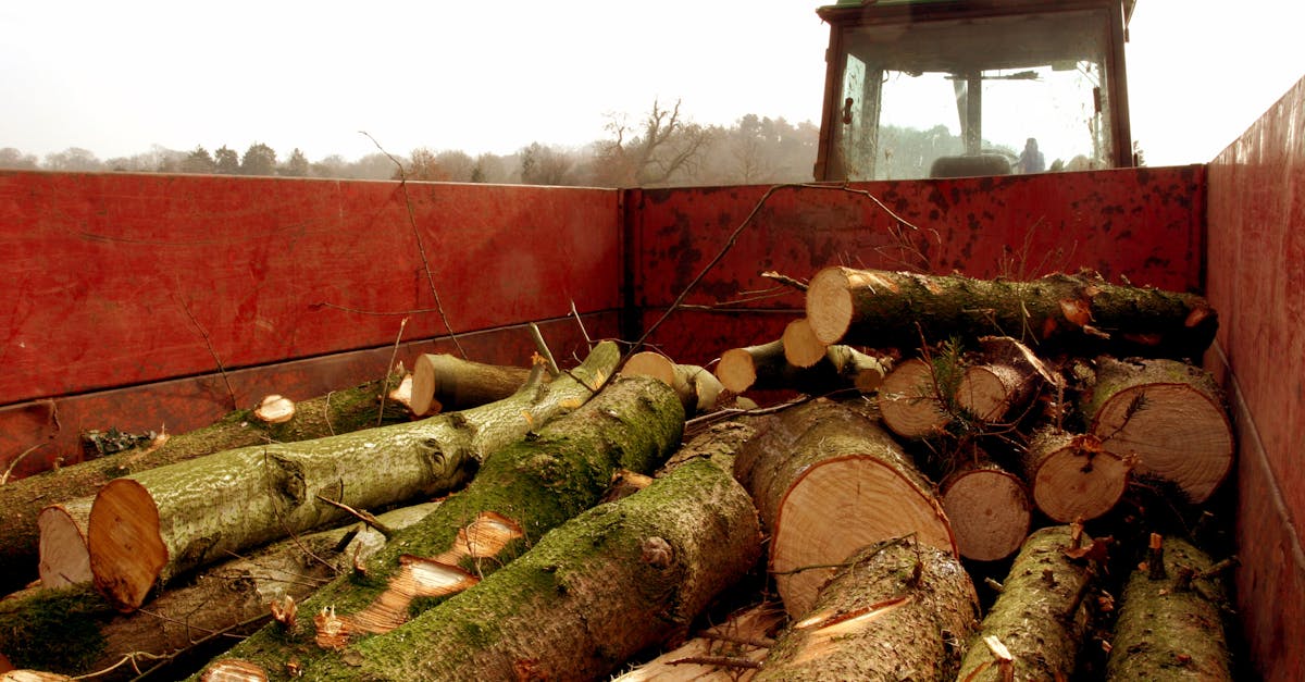 freshly cut logs in a farm trailer in barrow gurney england showcasing traditional rural logging 1