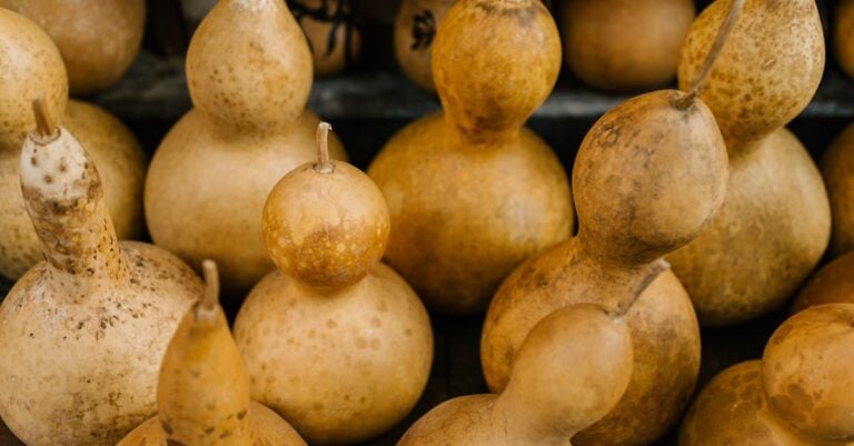 7 Local Food Sourcing Techniques That Build Community Connections