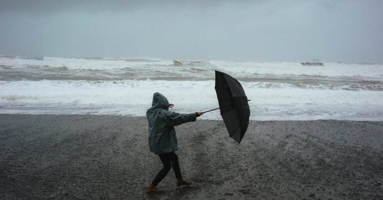 6 Tips for Preparing for Inclement Weather at Farmers Markets That Vendors Swear By
