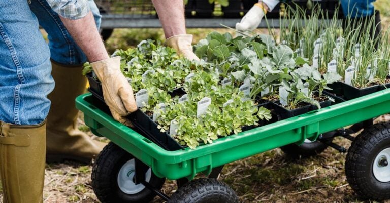 7 Microloans for Hobby Farmers: How to Qualify For Sustainable Growth