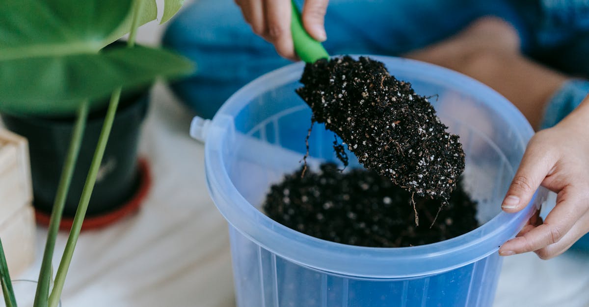 hands holding a trowel with soil preparing for indoor plant care