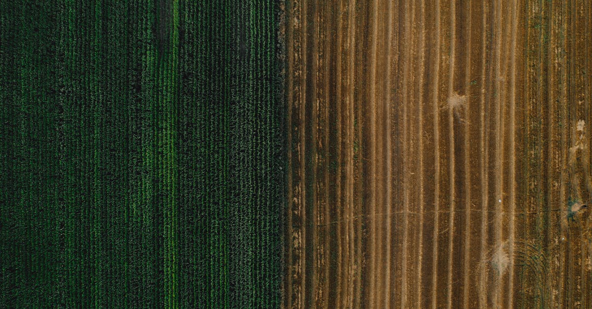 high angle shot of green and brown farm fields showcasing contrast in