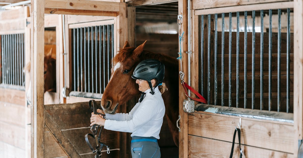 horsewoman in a stable preparing her horse for riding showcasing equestrian life 1
