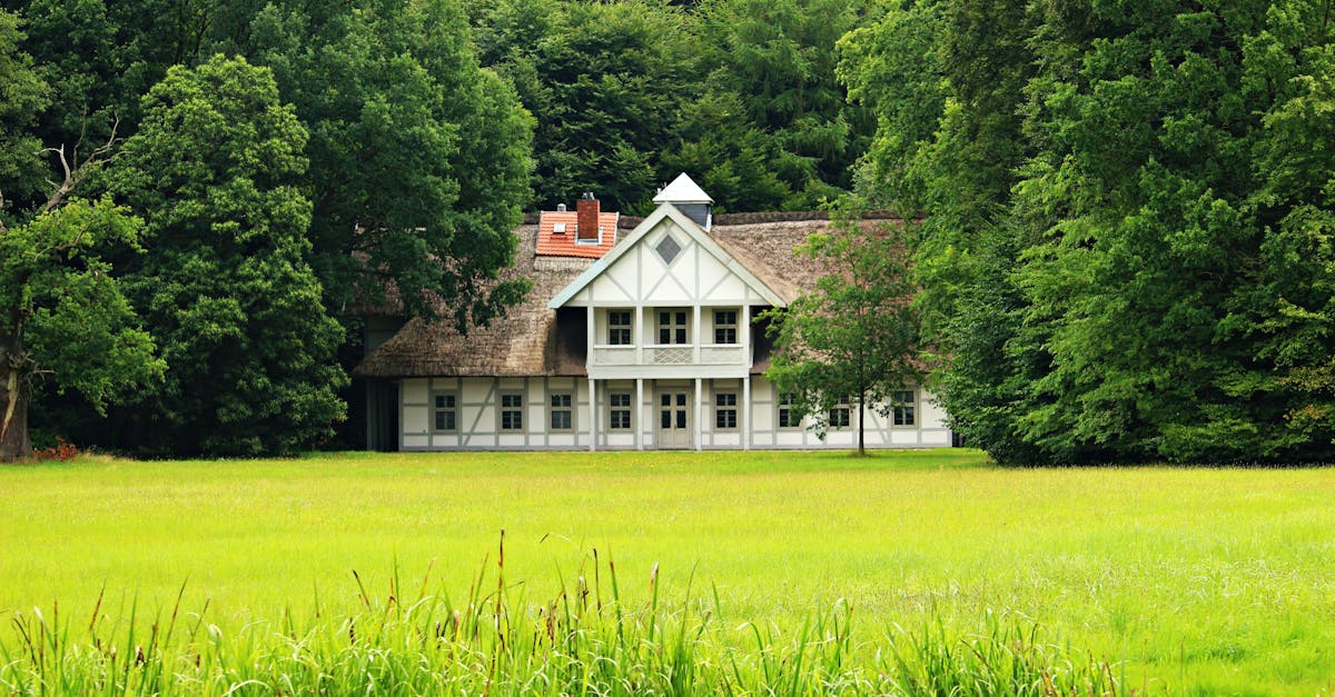 idyllic countryside house amidst vibrant greenery in summer