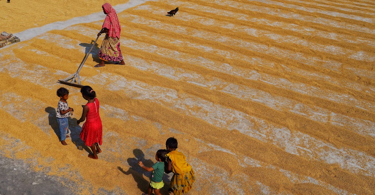 indian village scene with women and children working with grains under the sun 1