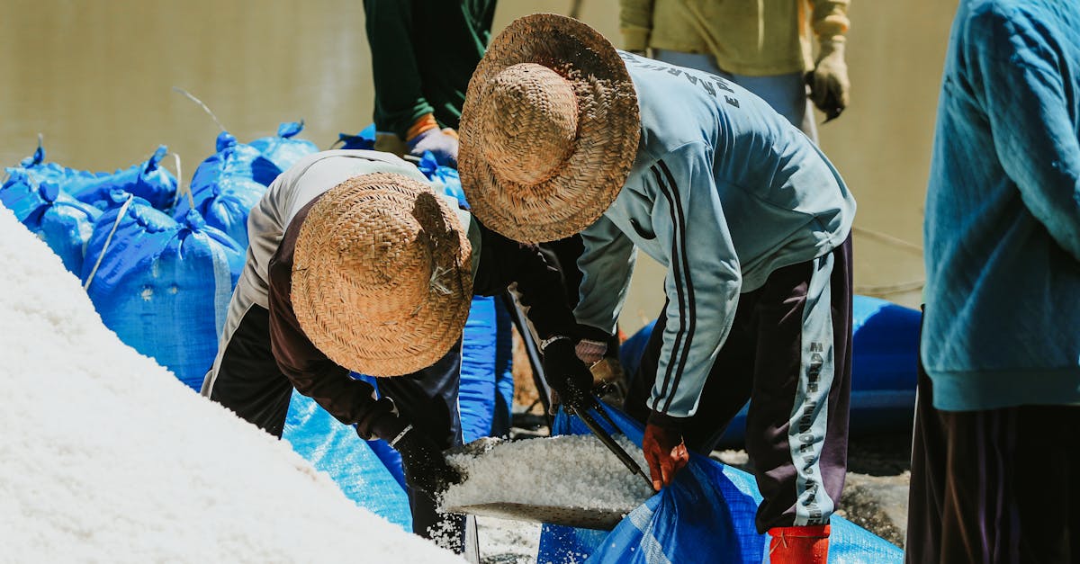 indonesian farmers harvesting salt under the sun in east java showcasing traditional methods