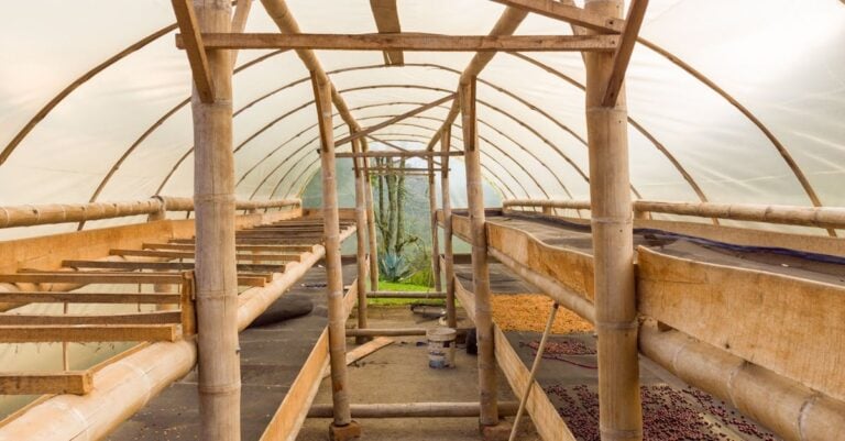 5 Shade Structure Ideas for Cooler Crops Perfect for Summer Heat