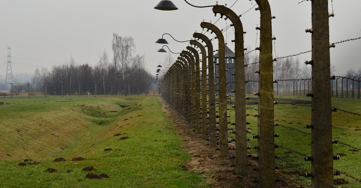 long barbed wire fence in a green field on an overcast day symbolizing isolation and boundaries