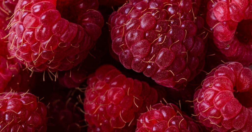 macro shot of juicy red raspberries highlighting their vibrant color and texture