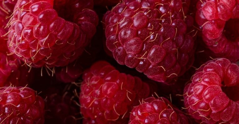 7 Benefits of Community-Supported Agriculture That Strengthen Local Food Systems