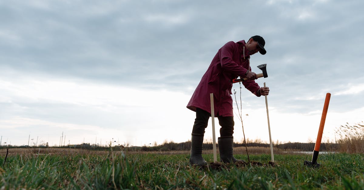 man in red coat planting trees in an open field during sunset symbolizing eco friendly practices