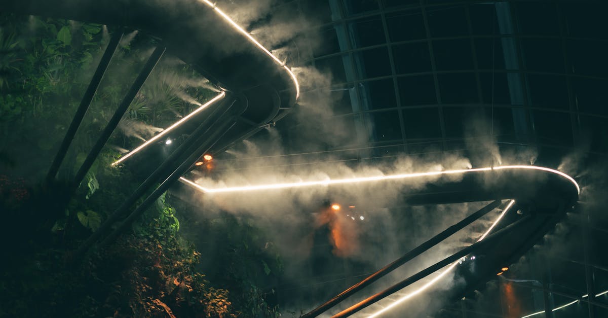 misty atmosphere inside gardens by the bay showcasing greenery and modern architecture 1