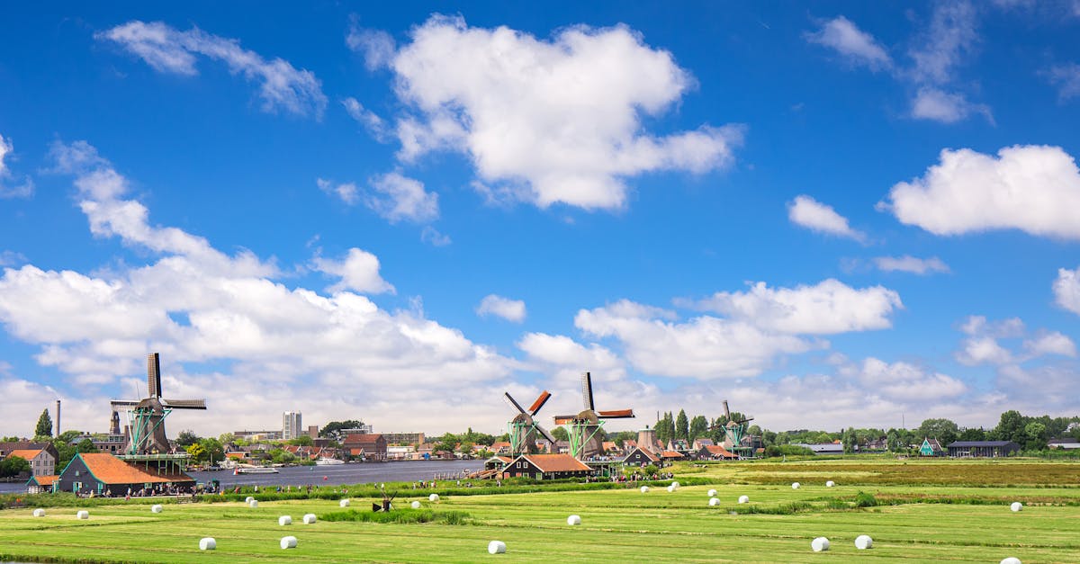 picturesque view of traditional windmills and farmland in rural amsterdam under a clear blue sky