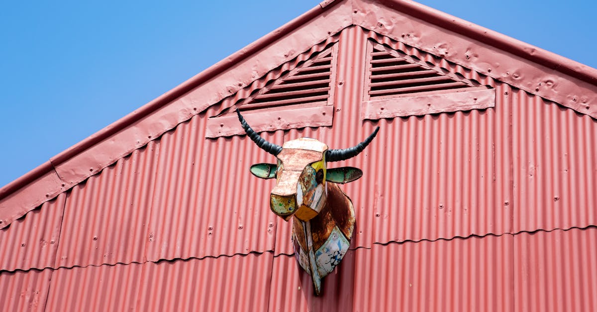 red barn facade with colorful bull sculpture under clear blue sky highlighting rural architecture
