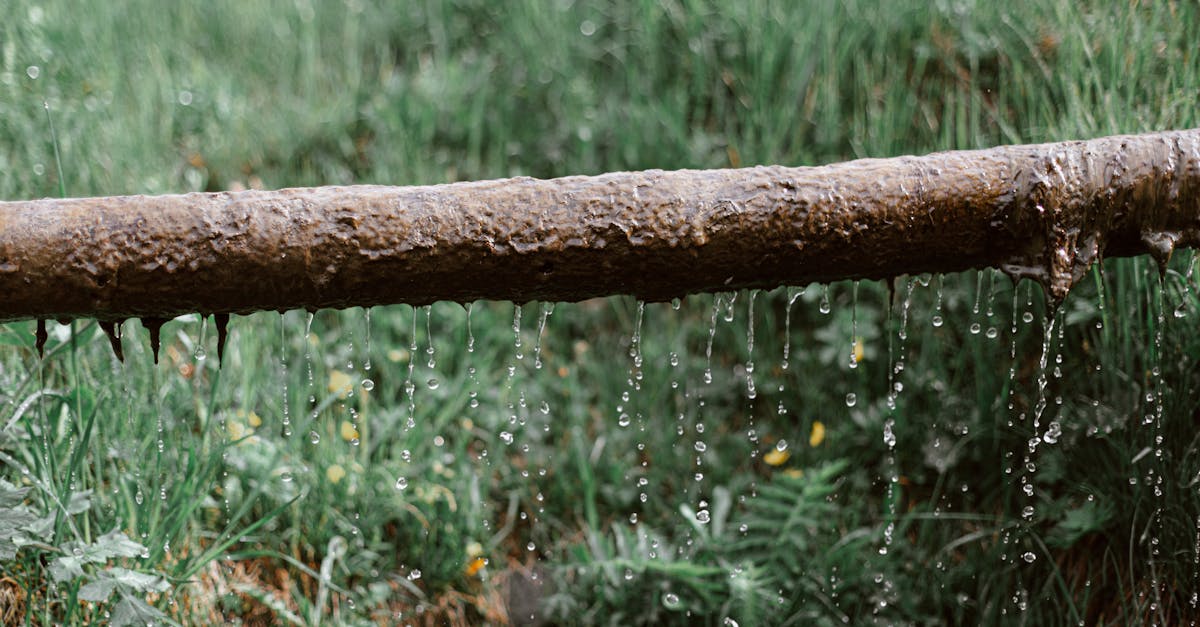 rusted pipe leaking fresh water amidst lush green grass outdoors