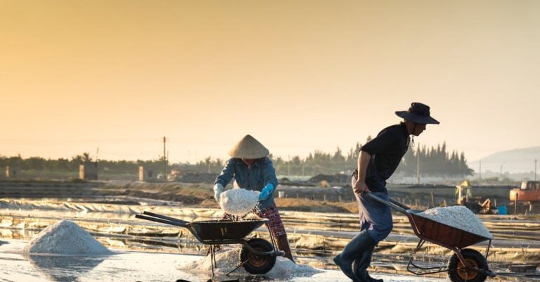 7 Community Resources for Shared Farming Tools That Build Rural Resilience