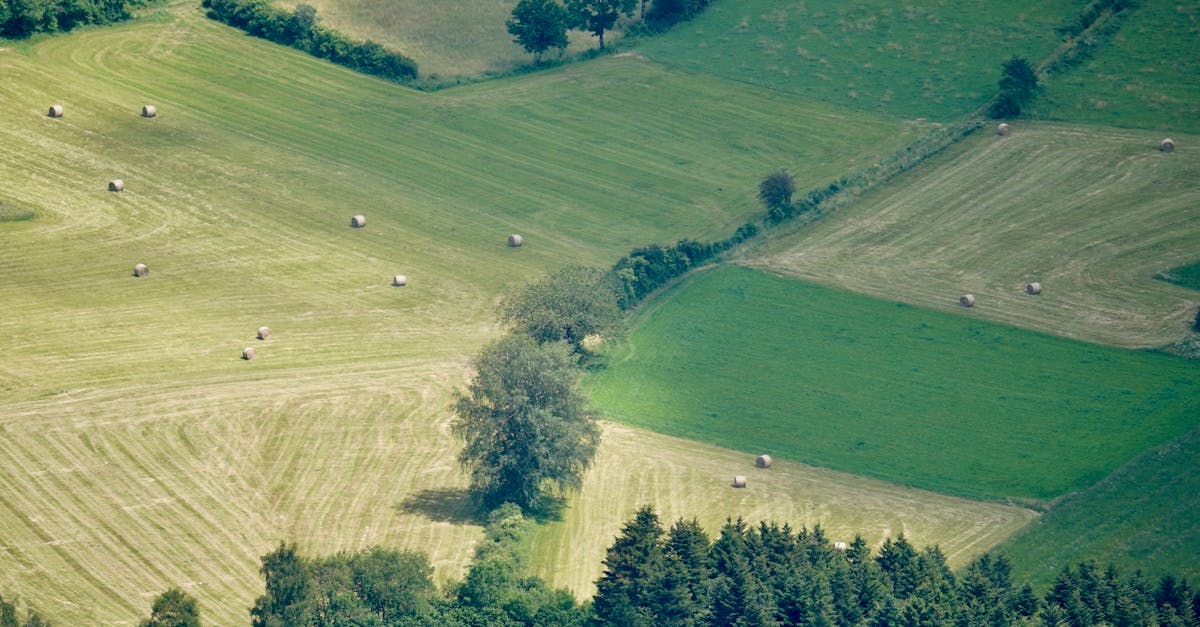 scenic aerial landscape of lush green farmland with hay bales in summer 1