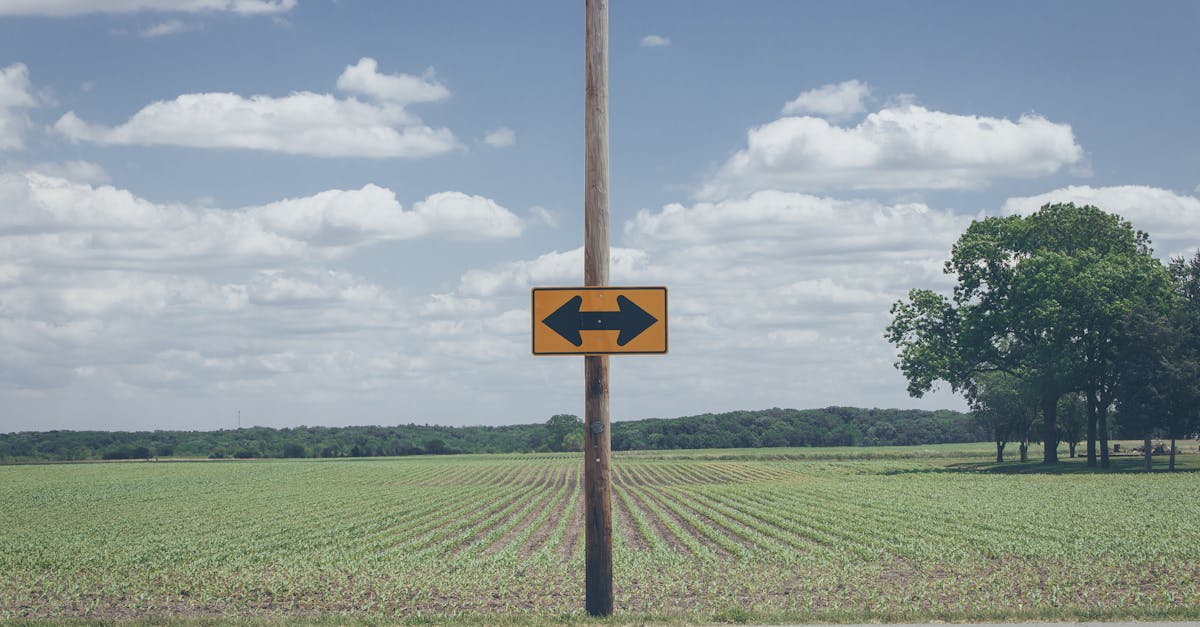 scenic rural road sign on farmland with clear blue sky and clouds